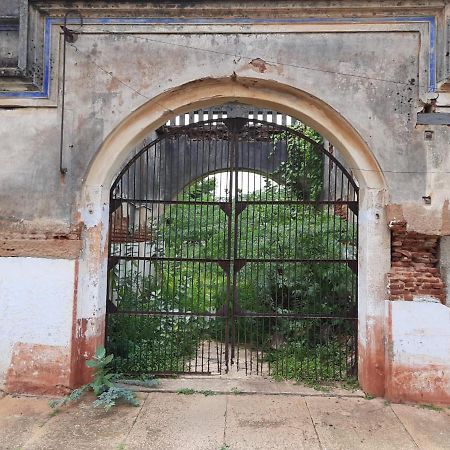 Chettinadu Mansion - An Authentic Heritage Palace Kanadukattan Экстерьер фото