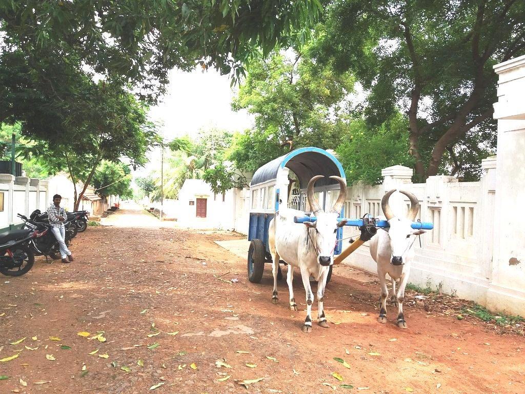 Chettinadu Mansion - An Authentic Heritage Palace Kanadukattan Экстерьер фото